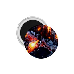 Fire Embers Flame Heat Flames Hot 1 75  Magnets by Nexatart