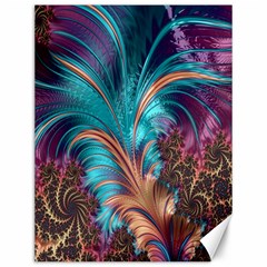 Feather Fractal Artistic Design Canvas 12  X 16   by Nexatart