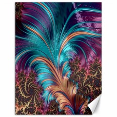 Feather Fractal Artistic Design Canvas 18  x 24  