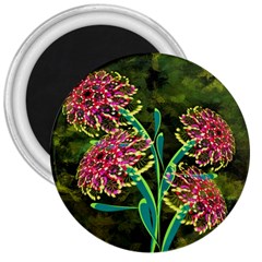 Flowers Abstract Decoration 3  Magnets by Nexatart