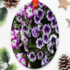 Flowers Blossom Bloom Plant Nature Ornament (oval)