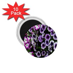 Flowers Blossom Bloom Plant Nature 1 75  Magnets (10 Pack)  by Nexatart