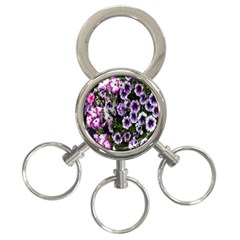 Flowers Blossom Bloom Plant Nature 3-ring Key Chains by Nexatart