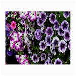 Flowers Blossom Bloom Plant Nature Small Glasses Cloth Front