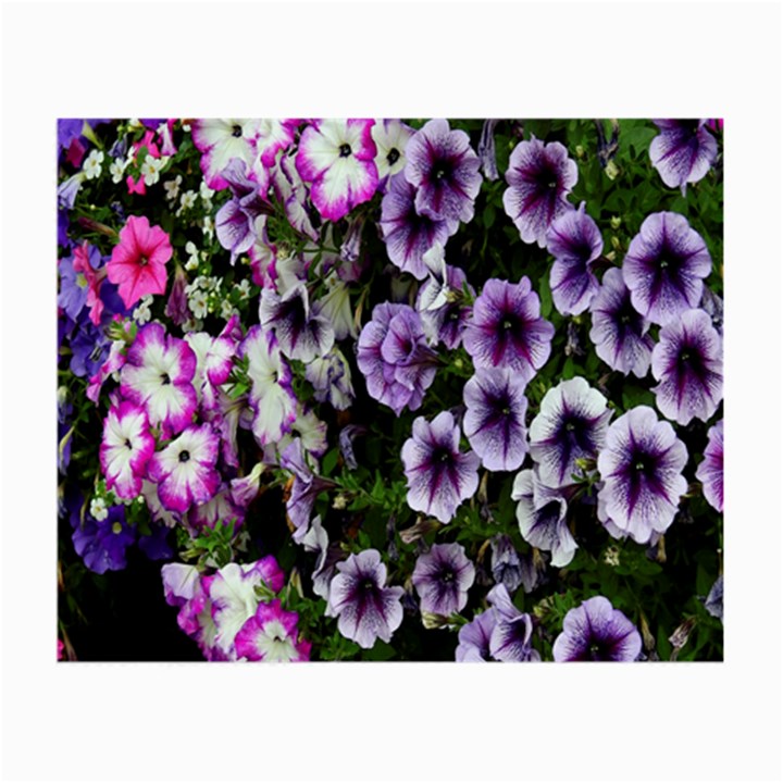 Flowers Blossom Bloom Plant Nature Small Glasses Cloth