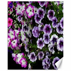 Flowers Blossom Bloom Plant Nature Canvas 11  X 14   by Nexatart