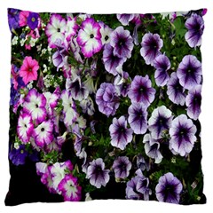 Flowers Blossom Bloom Plant Nature Standard Flano Cushion Case (two Sides) by Nexatart