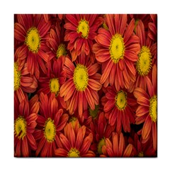 Flowers Nature Plants Autumn Affix Tile Coasters by Nexatart