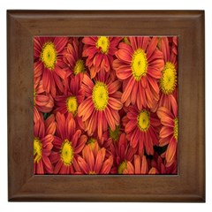 Flowers Nature Plants Autumn Affix Framed Tiles by Nexatart