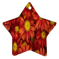 Flowers Nature Plants Autumn Affix Ornament (star)