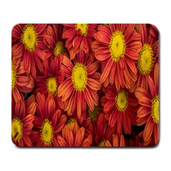 Flowers Nature Plants Autumn Affix Large Mousepads by Nexatart