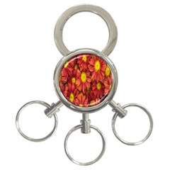 Flowers Nature Plants Autumn Affix 3-ring Key Chains by Nexatart