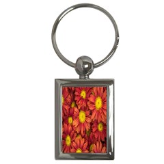 Flowers Nature Plants Autumn Affix Key Chains (rectangle)  by Nexatart