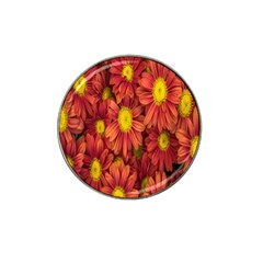 Flowers Nature Plants Autumn Affix Hat Clip Ball Marker (4 Pack) by Nexatart