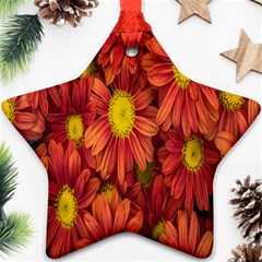 Flowers Nature Plants Autumn Affix Star Ornament (two Sides) by Nexatart