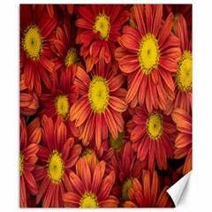 Flowers Nature Plants Autumn Affix Canvas 20  X 24   by Nexatart