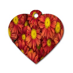 Flowers Nature Plants Autumn Affix Dog Tag Heart (one Side) by Nexatart