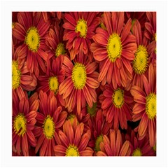 Flowers Nature Plants Autumn Affix Medium Glasses Cloth by Nexatart