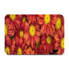 Flowers Nature Plants Autumn Affix Plate Mats by Nexatart