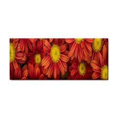 Flowers Nature Plants Autumn Affix Cosmetic Storage Cases by Nexatart