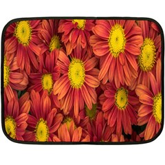 Flowers Nature Plants Autumn Affix Double Sided Fleece Blanket (mini)  by Nexatart