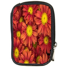 Flowers Nature Plants Autumn Affix Compact Camera Cases by Nexatart