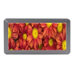 Flowers Nature Plants Autumn Affix Memory Card Reader (mini) by Nexatart