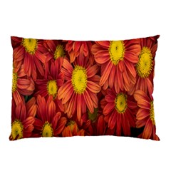 Flowers Nature Plants Autumn Affix Pillow Case (two Sides) by Nexatart