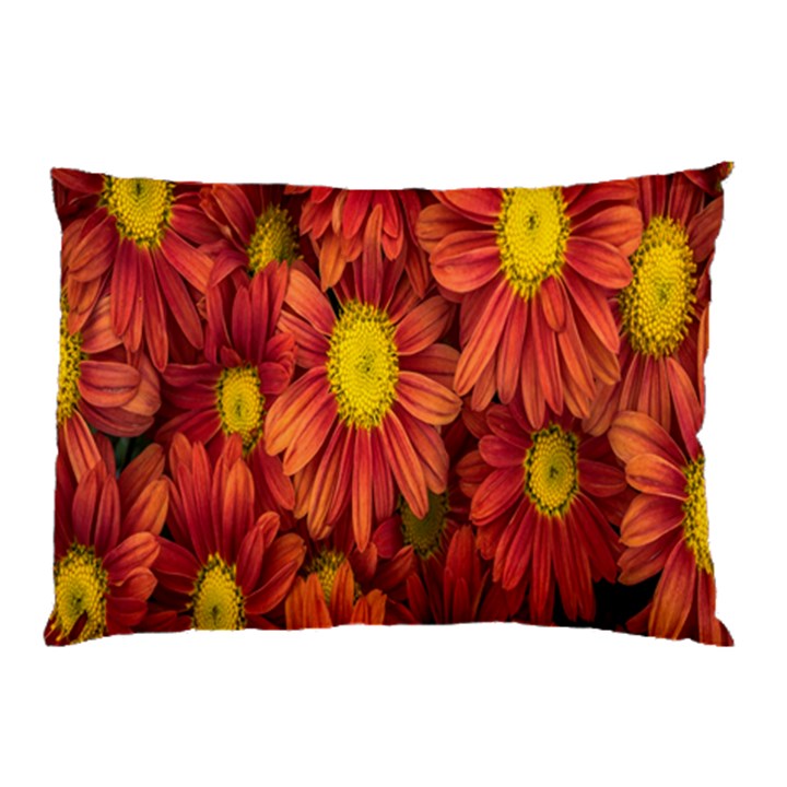 Flowers Nature Plants Autumn Affix Pillow Case (Two Sides)