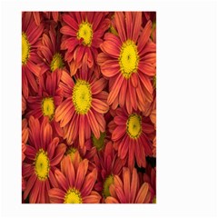 Flowers Nature Plants Autumn Affix Large Garden Flag (two Sides) by Nexatart