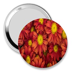 Flowers Nature Plants Autumn Affix 3  Handbag Mirrors by Nexatart