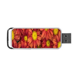 Flowers Nature Plants Autumn Affix Portable Usb Flash (one Side) by Nexatart