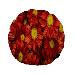 Flowers Nature Plants Autumn Affix Standard 15  Premium Round Cushions by Nexatart