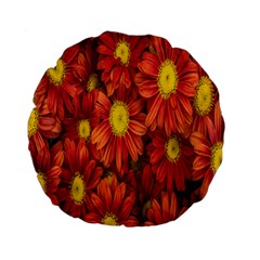 Flowers Nature Plants Autumn Affix Standard 15  Premium Flano Round Cushions by Nexatart