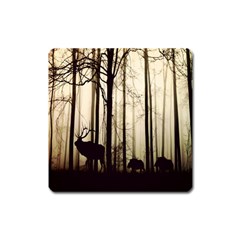 Forest Fog Hirsch Wild Boars Square Magnet by Nexatart