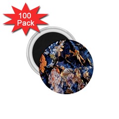 Frost Leaves Winter Park Morning 1 75  Magnets (100 Pack)  by Nexatart