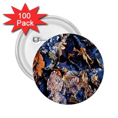 Frost Leaves Winter Park Morning 2 25  Buttons (100 Pack)  by Nexatart