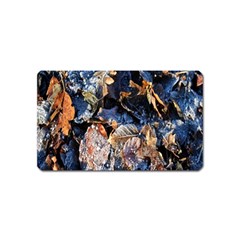 Frost Leaves Winter Park Morning Magnet (name Card) by Nexatart