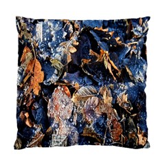 Frost Leaves Winter Park Morning Standard Cushion Case (one Side) by Nexatart