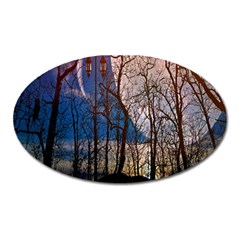 Full Moon Forest Night Darkness Oval Magnet by Nexatart