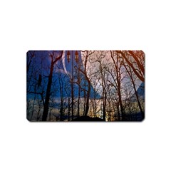 Full Moon Forest Night Darkness Magnet (name Card) by Nexatart