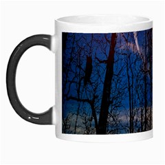 Full Moon Forest Night Darkness Morph Mugs by Nexatart