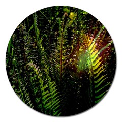 Green Leaves Psychedelic Paint Magnet 5  (round) by Nexatart