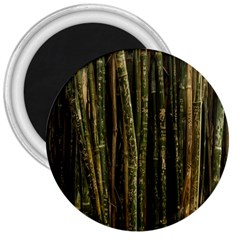 Green And Brown Bamboo Trees 3  Magnets