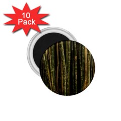 Green And Brown Bamboo Trees 1 75  Magnets (10 Pack) 