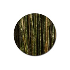 Green And Brown Bamboo Trees Magnet 3  (round)