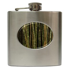 Green And Brown Bamboo Trees Hip Flask (6 Oz) by Nexatart