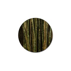 Green And Brown Bamboo Trees Golf Ball Marker by Nexatart