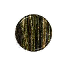 Green And Brown Bamboo Trees Hat Clip Ball Marker (4 Pack) by Nexatart