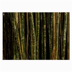 Green And Brown Bamboo Trees Large Glasses Cloth